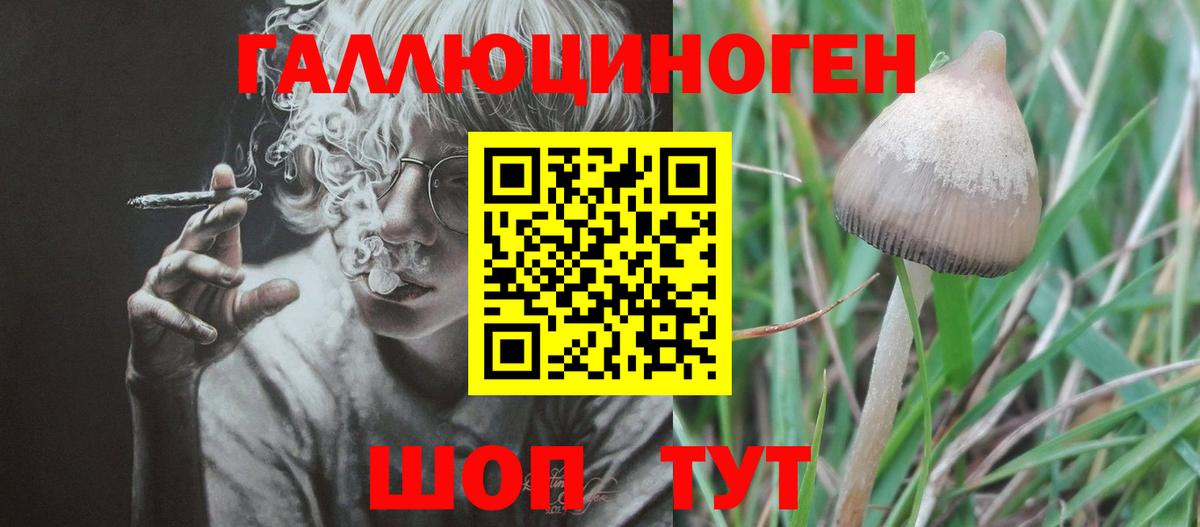 Псилоцибиновые грибы GOLDEN TEACHER Элиста
