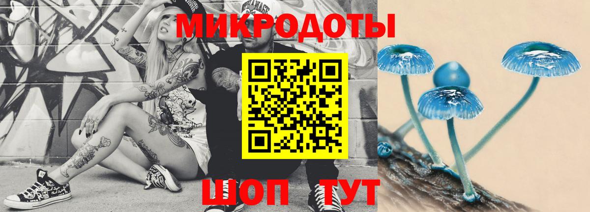 Галлюциногенные грибы ЛСД  Вход с VPN  купить   Элиста  Псилоцибиновые грибы Cubensis 